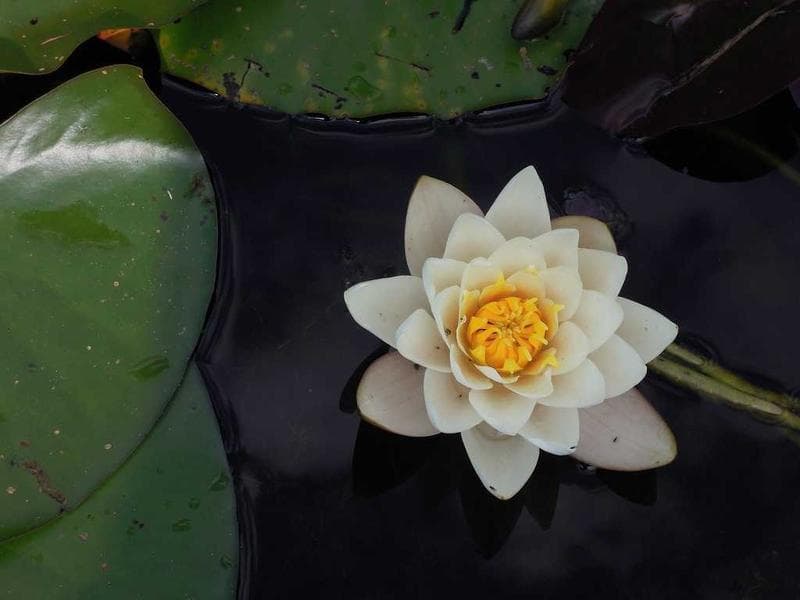 Mặt bằng điển hình