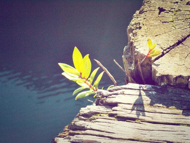 Vị trí Zeit River Thủ Thiêm